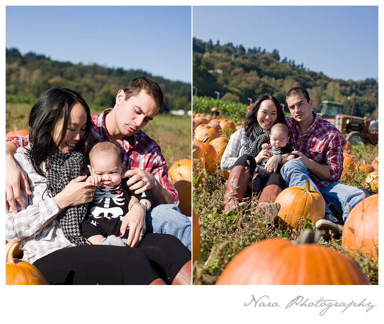 Pumpkin Patch Family Portraits